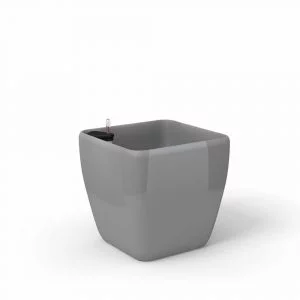Quadra 3114 srebrna